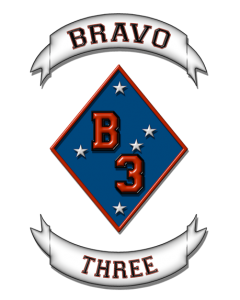 B3 Logo White BG.jpg