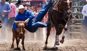 RAMONA RODEO EVENT SECURITY